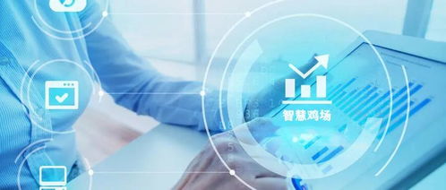 自動化生產(chǎn)與信息技術(shù)的深度融合 打造新概念智慧雞場